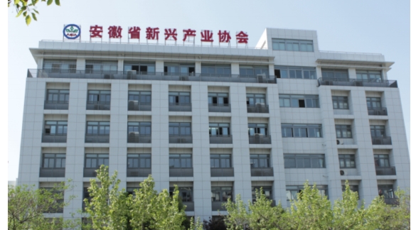 安徽省新兴产业协会评价机构简介